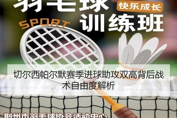 切尔西帕尔默赛季进球助攻双高背后战术自由度解析